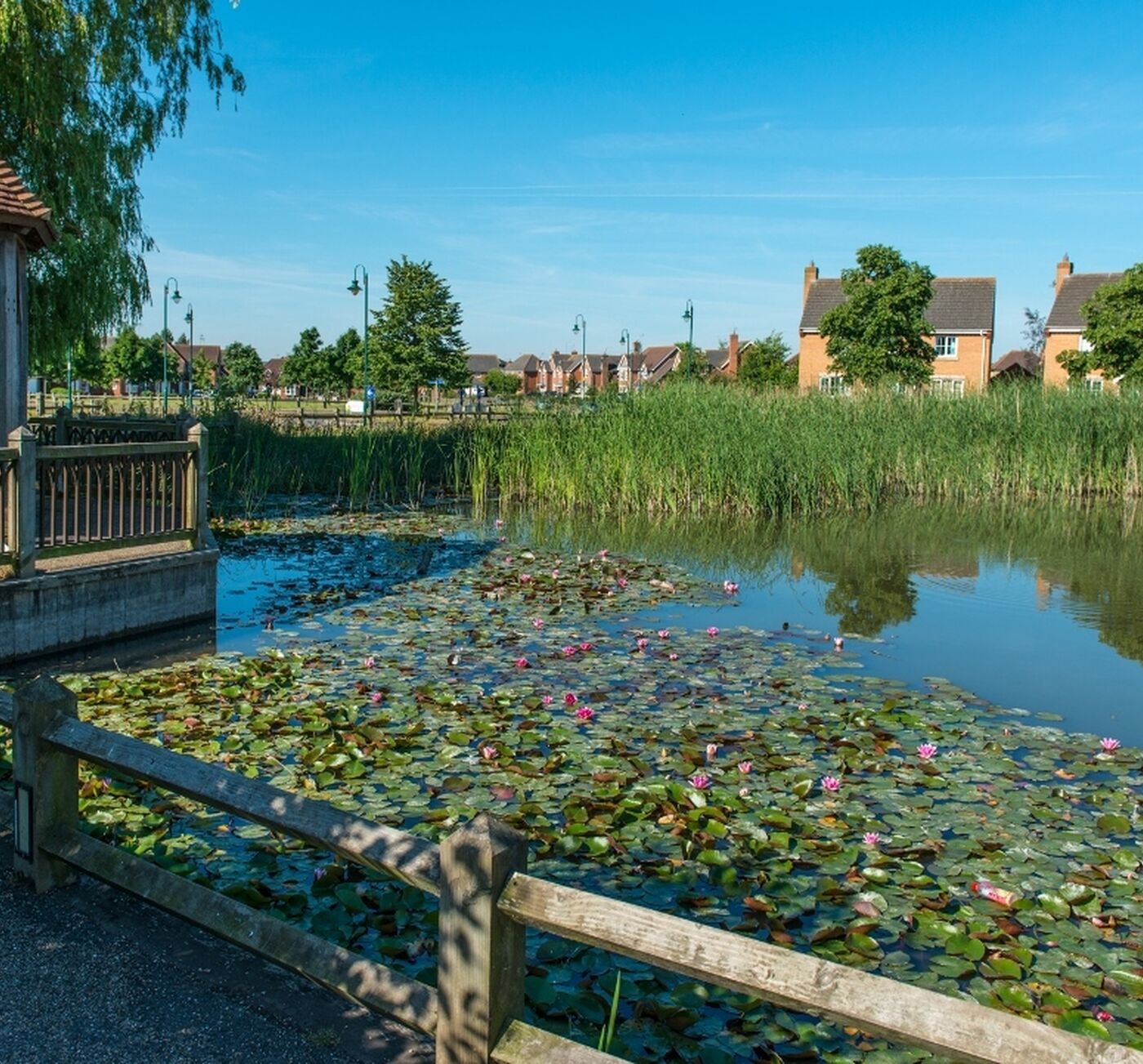 Village pond and shelter at Hampton Hargate
