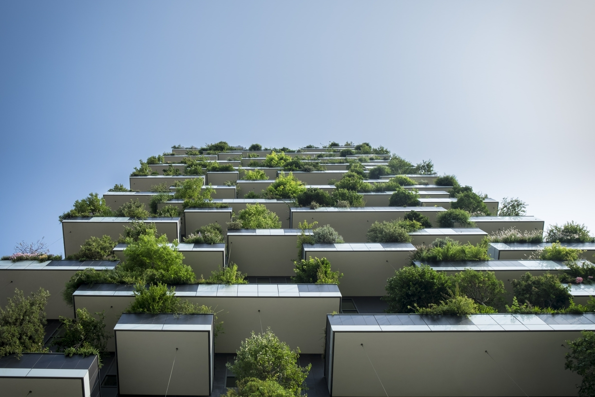 LMC | Build Back Better: A greener future for construction