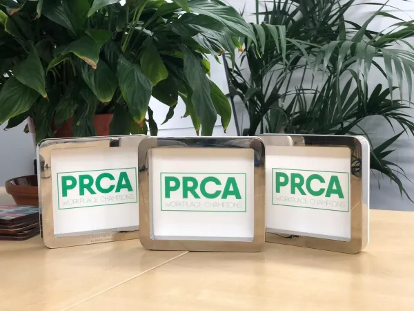 Three wooden-framed PRCA award certificates displayed on a wooden desk with potted green plants in the background.