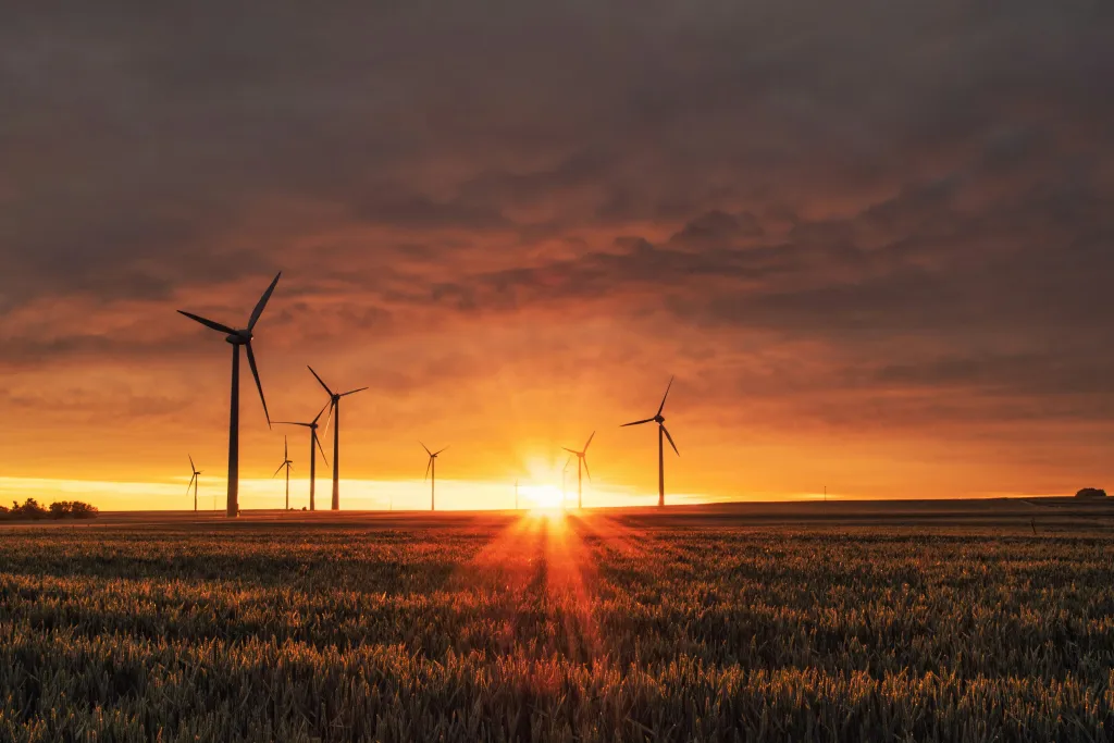 wind turbines in the middle of the fields at sunset